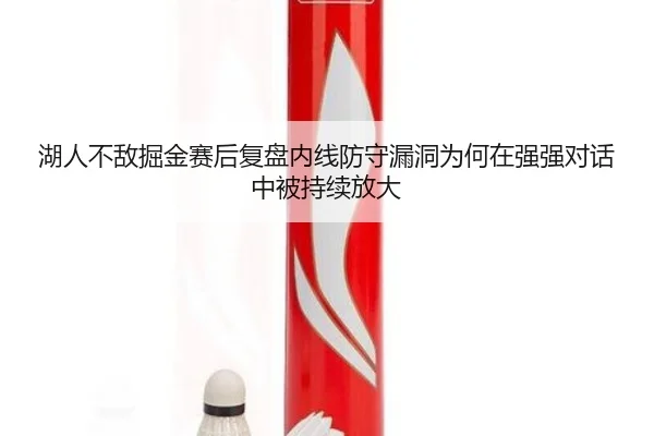 湖人不敌掘金赛后复盘内线防守漏洞为何在强强对话中被持续放大
