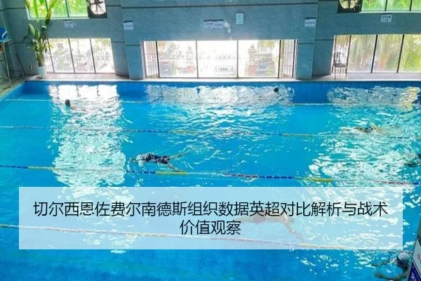 切尔西恩佐费尔南德斯组织数据英超对比解析与战术价值观察